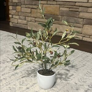 Artificial Olive Tree in White Pot